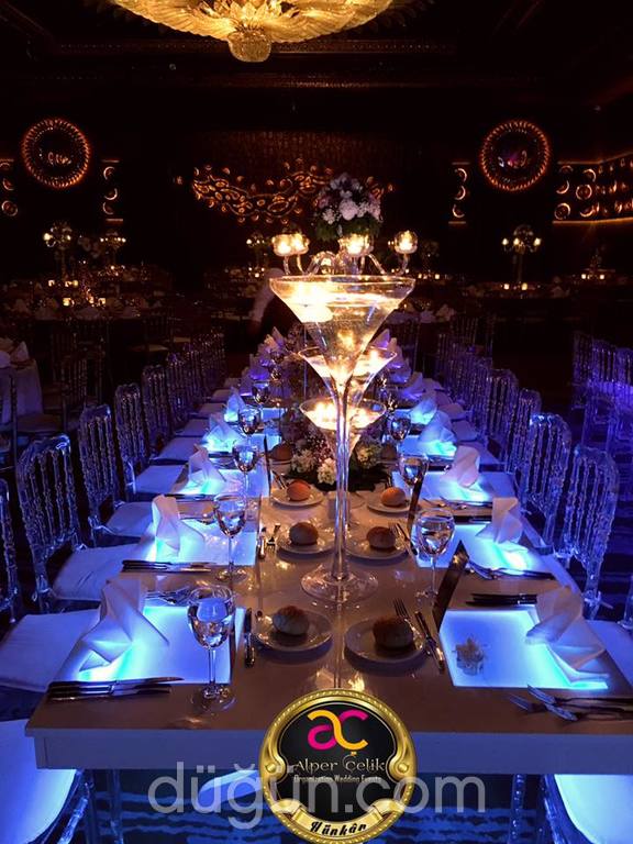 Alper Çelik Organization