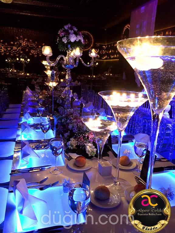 Alper Çelik Organization