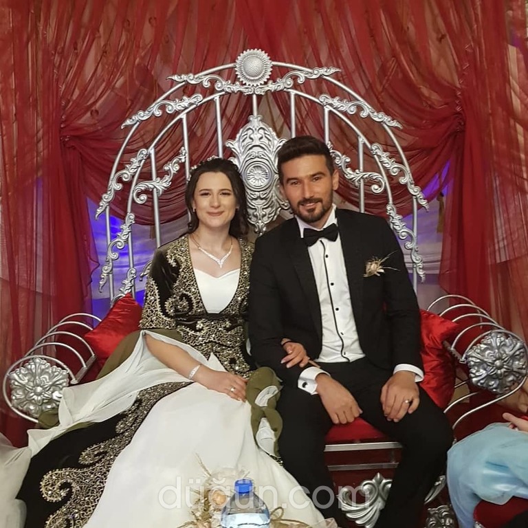 Masal Diyarı Organizasyon