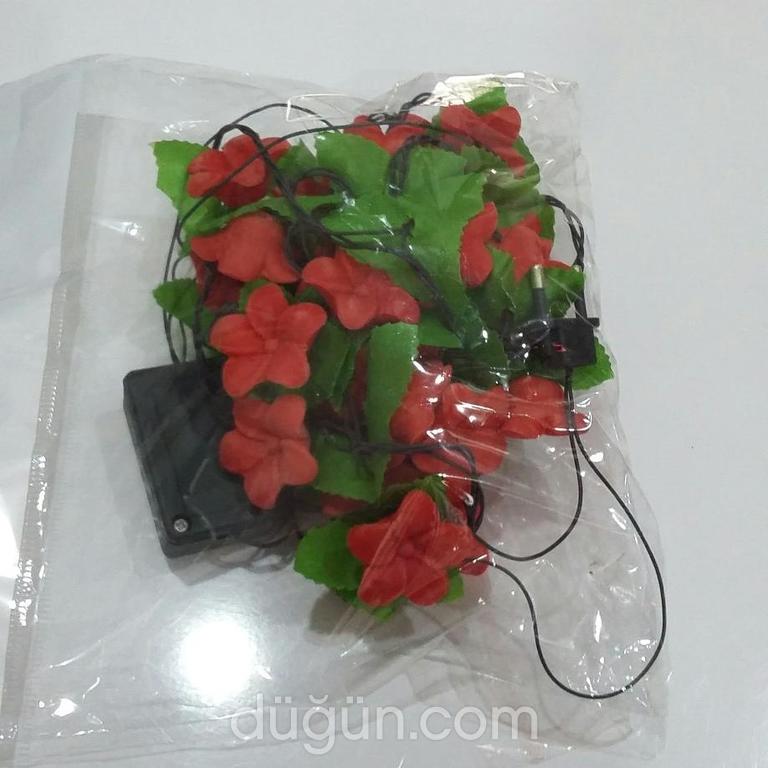 Masal Diyarı Organizasyon