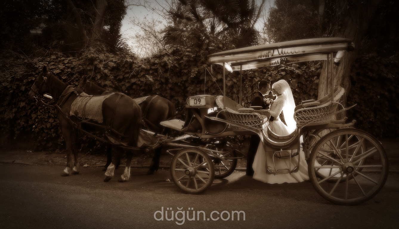 Mercan Fotoğrafçılık Tuzla