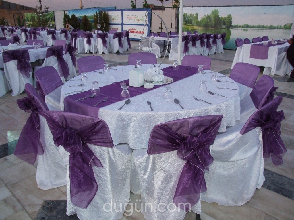 Malatya Organizasyon