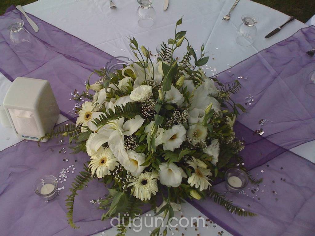 Malatya Organizasyon