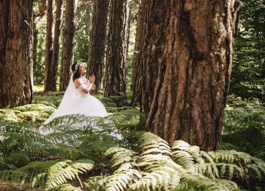 TM Fotoğraf & Video