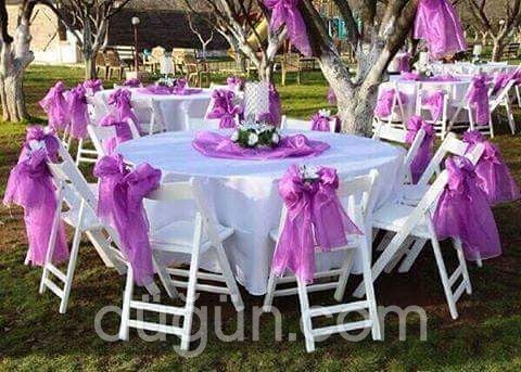 Karnaval Organizasyon