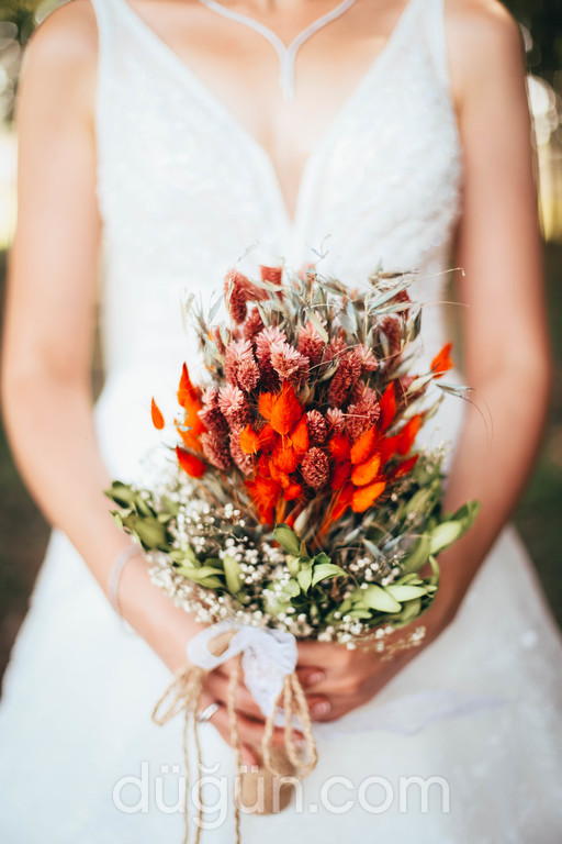 Caner Tamyüksel Fotoğraf