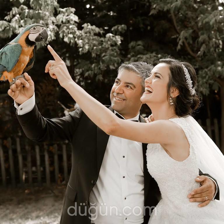 Duygu Fotoğrafçılık