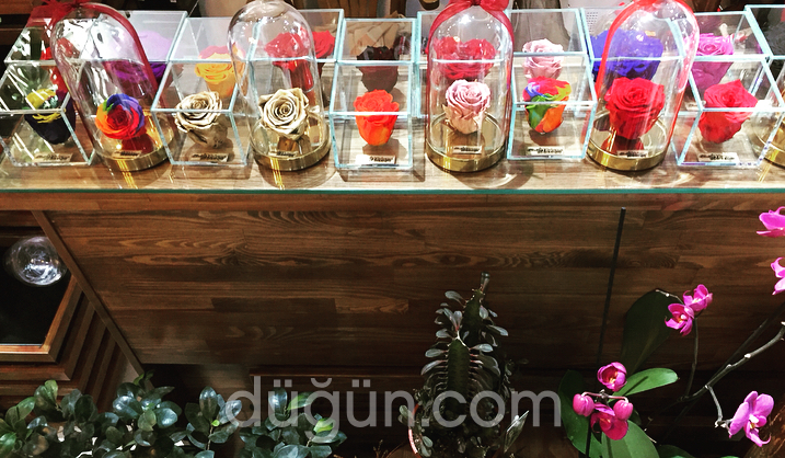 Gönül Bahçem Çiçekçilik