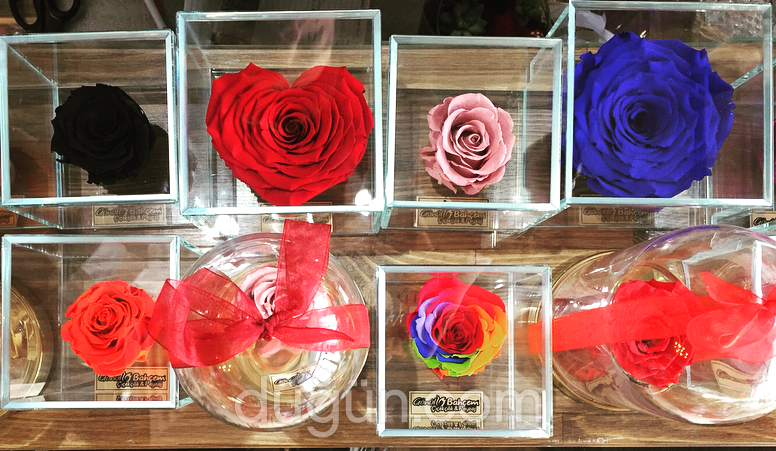 Gönül Bahçem Çiçekçilik