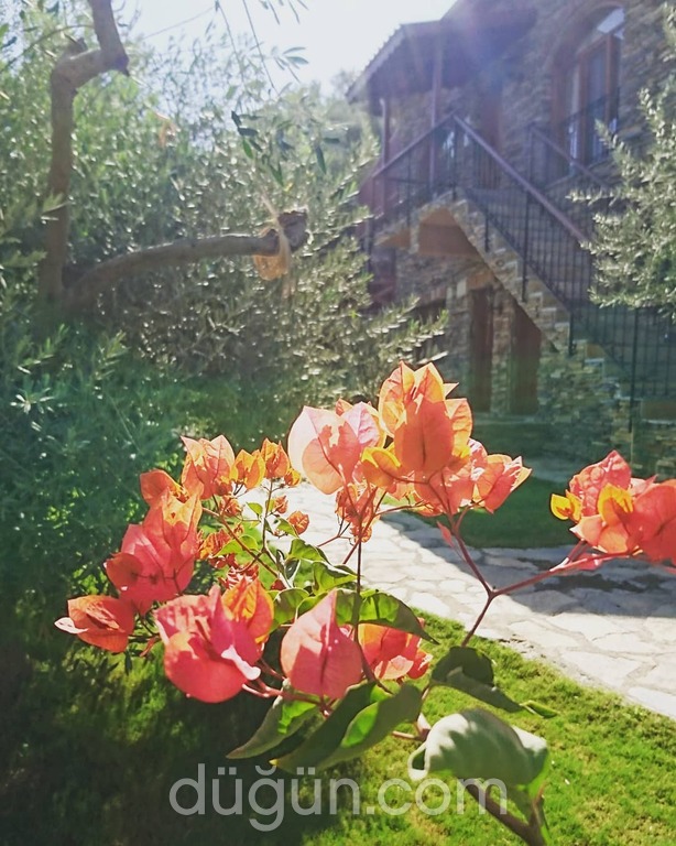 Şirince Klaseas Hotel & Restaurant