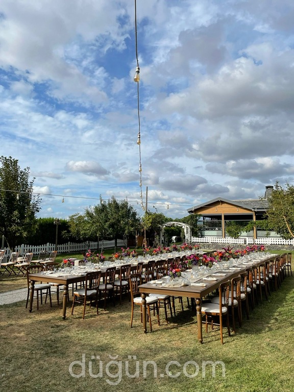 Zeytin Dalı Kır Bahçesi