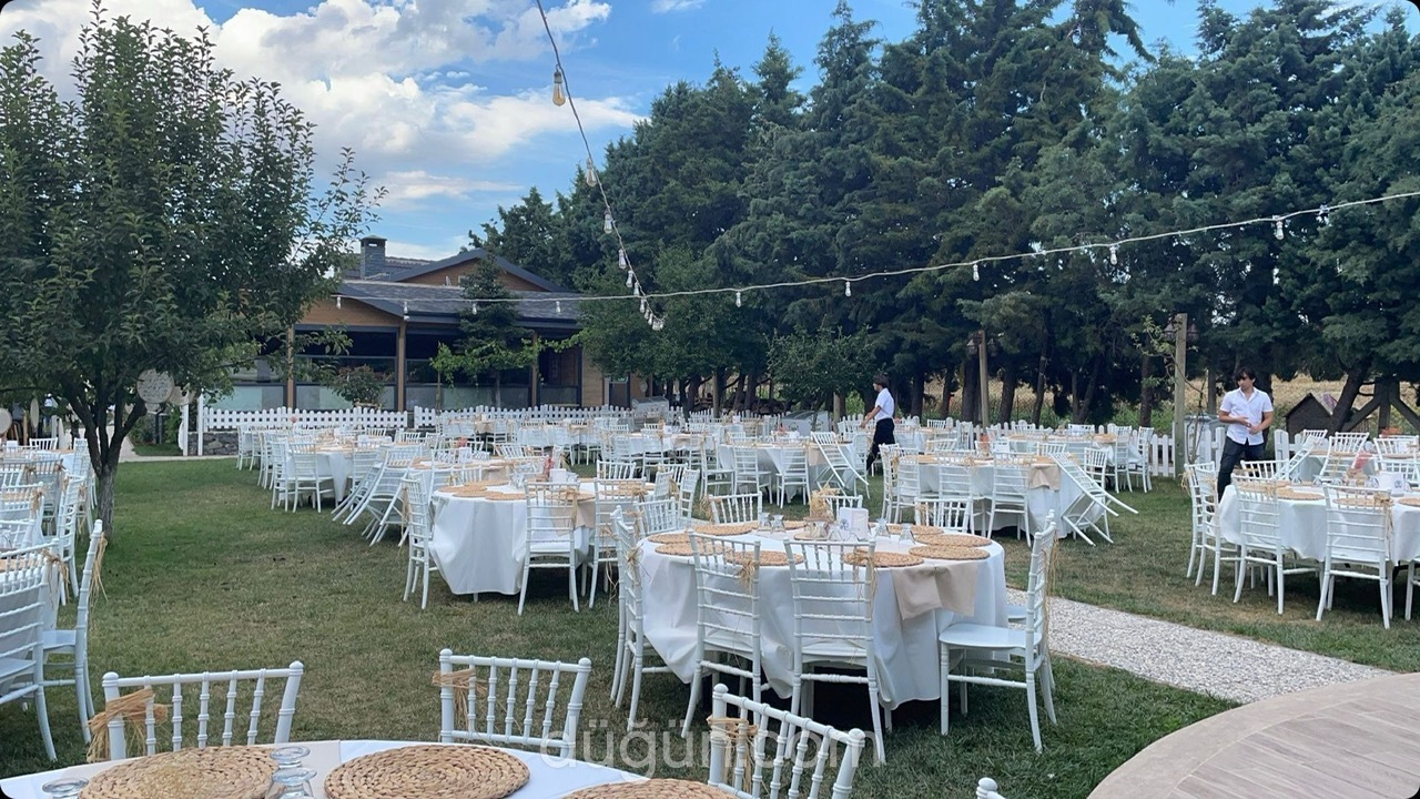 Zeytin Dalı Kır Bahçesi