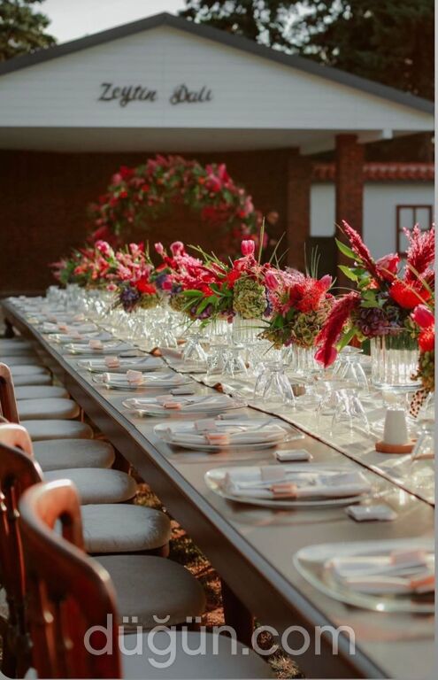 Zeytin Dalı Kır Bahçesi