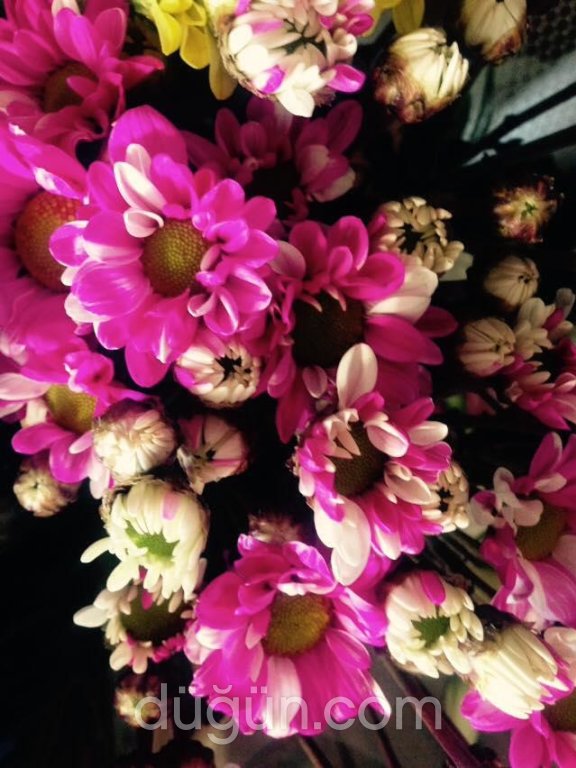 Mevsim Çiçekçilik