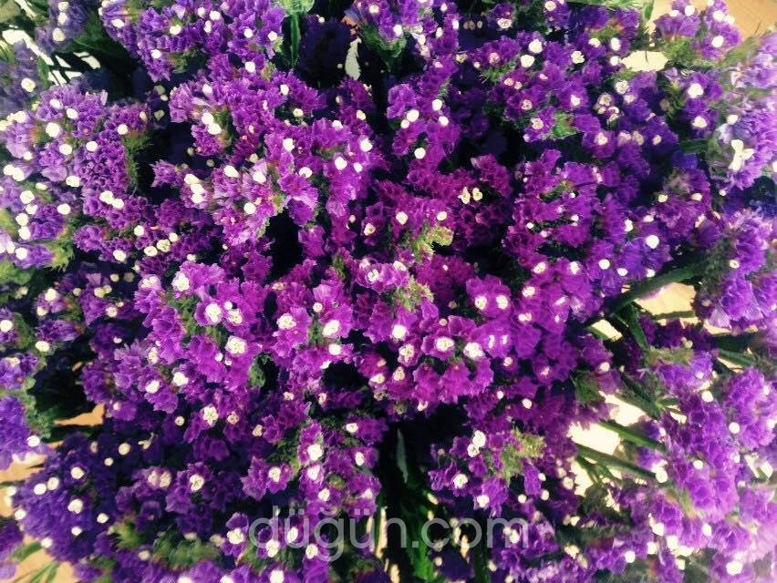 Mevsim Çiçekçilik