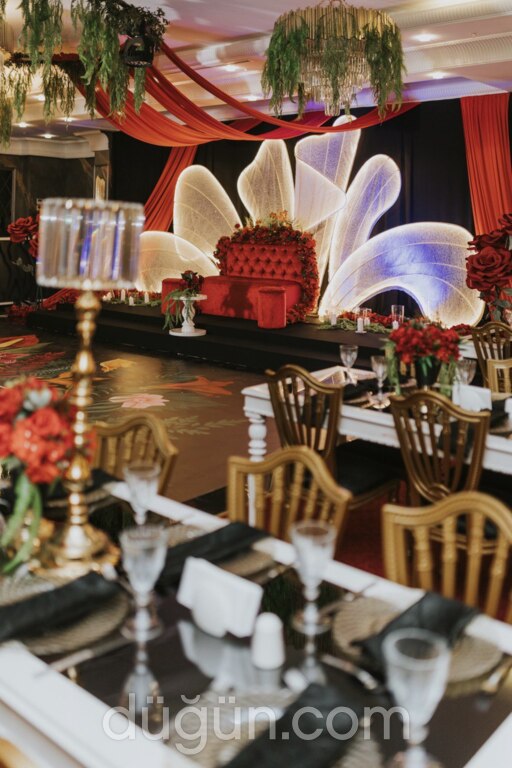 Adelisa Organizasyon