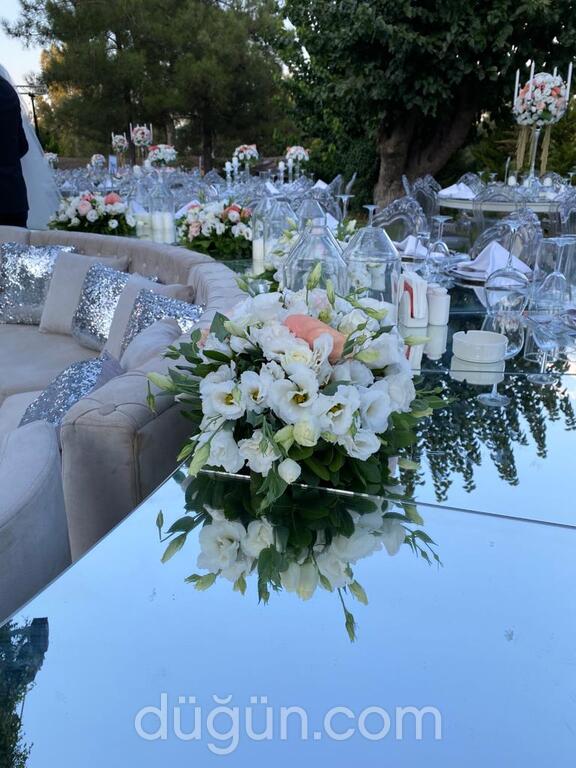 SY Düğün Davet Organizasyon