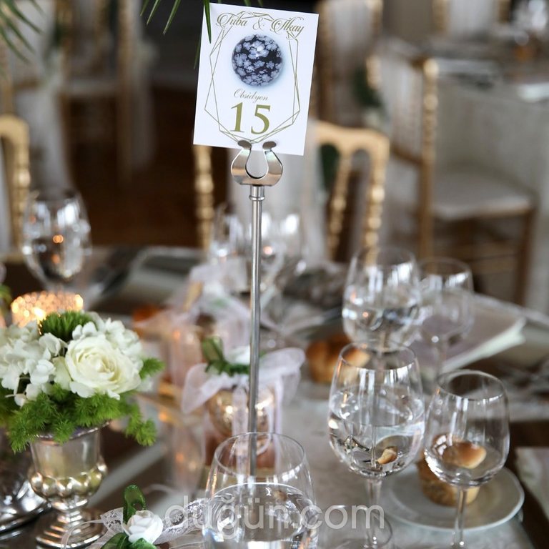 Beyaz Saray Organizasyon