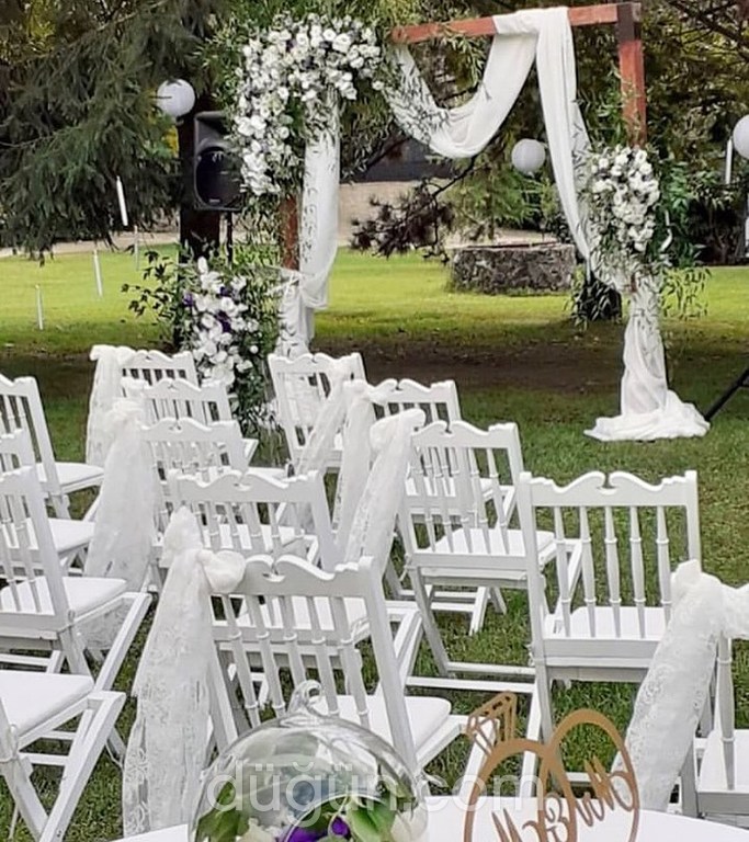 Beyaz Saray Organizasyon