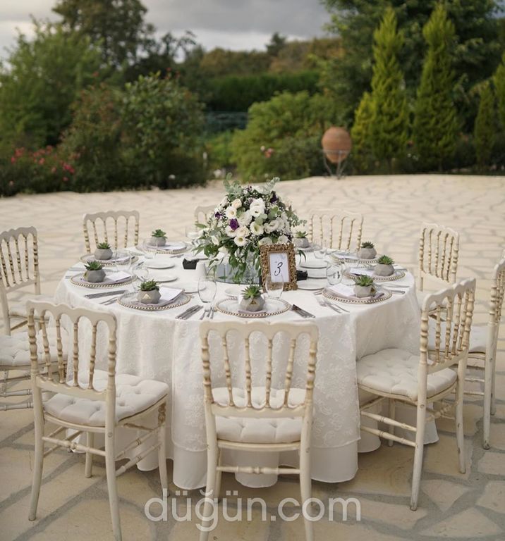 Beyaz Saray Organizasyon