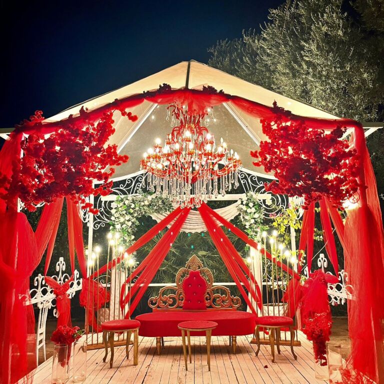 Lavanta Organizasyon