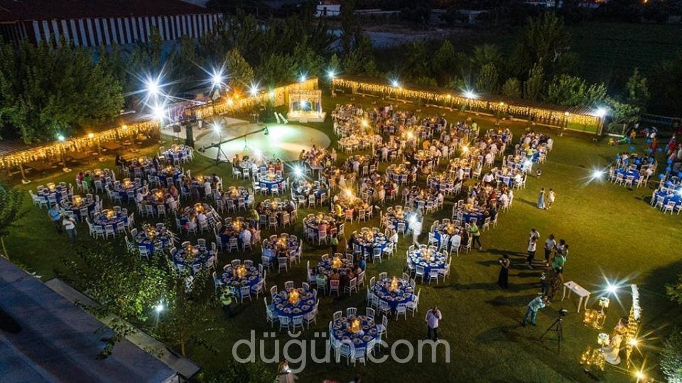 Lavanta Organizasyon