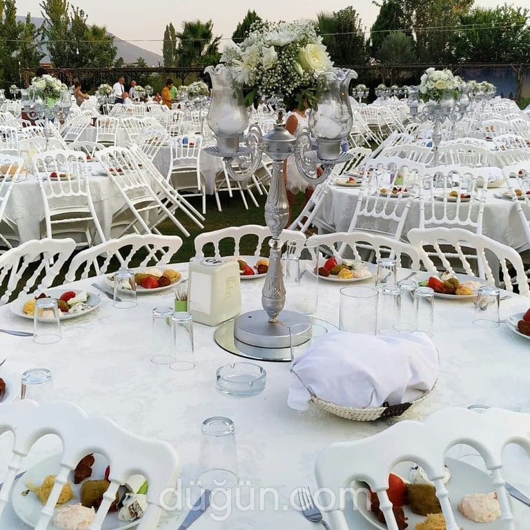 Lavanta Organizasyon