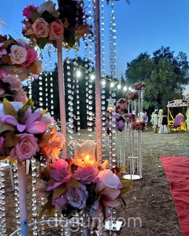 Lavanta Organizasyon