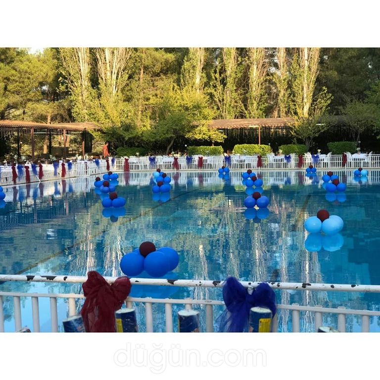 Lavanta Organizasyon