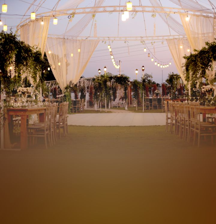 Roof Wedding