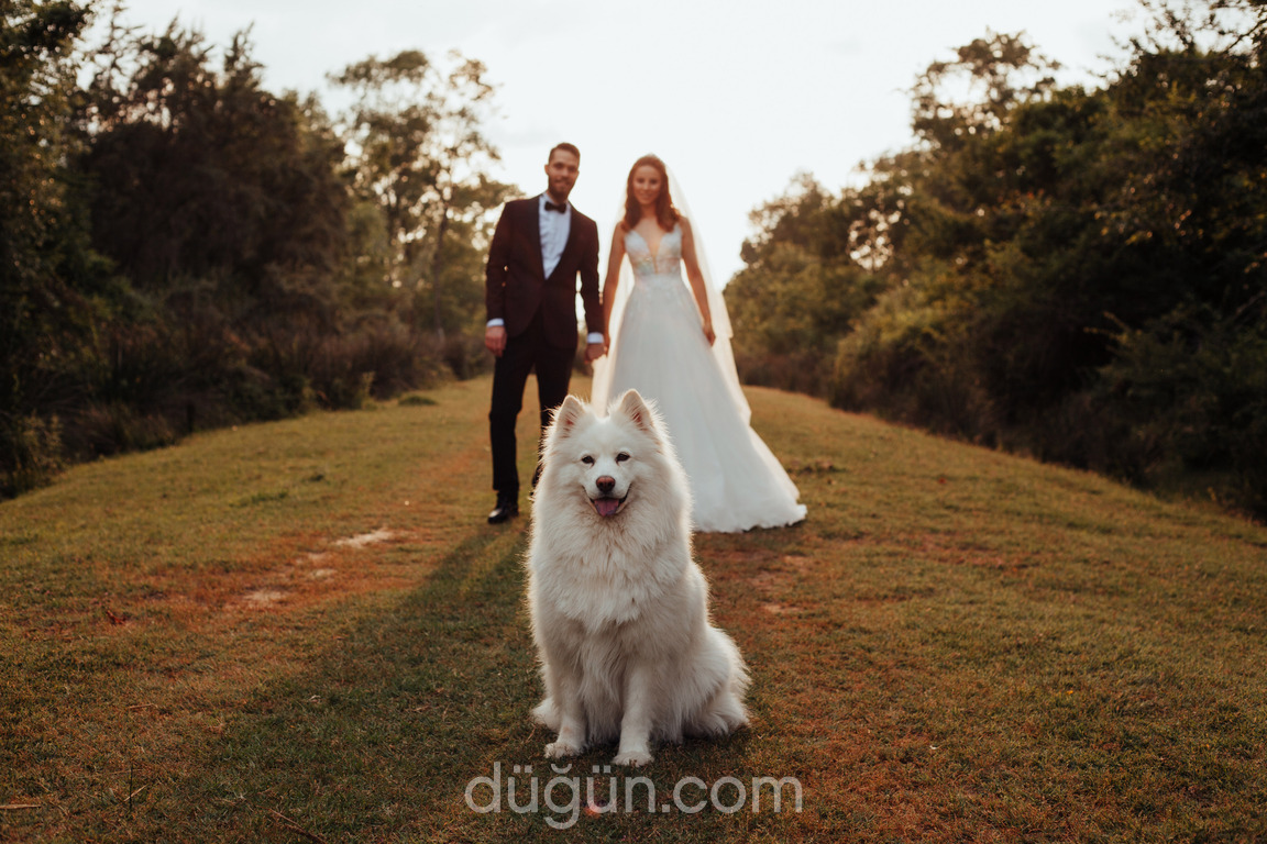 My Wedding Samsun
