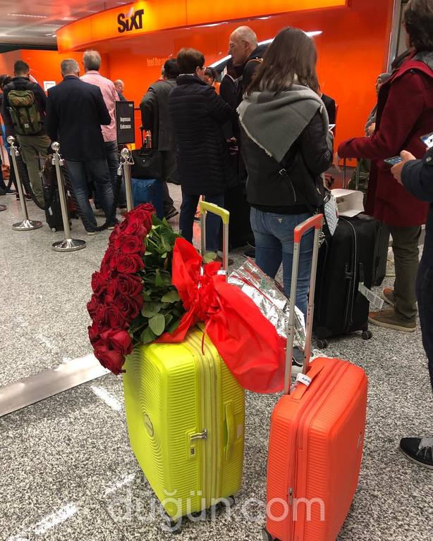 100 Adet Kırmızı Gül