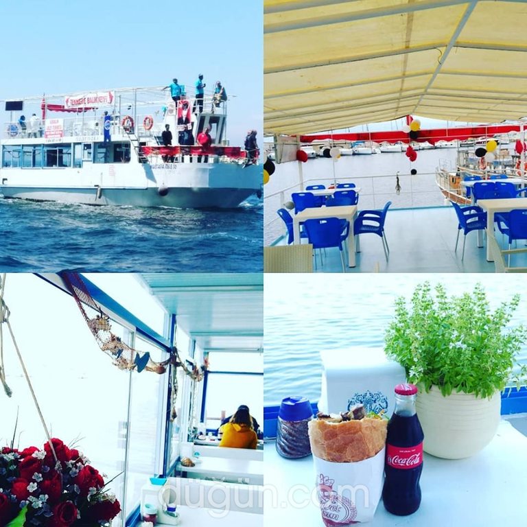 Tirilye Gezi Teknesi