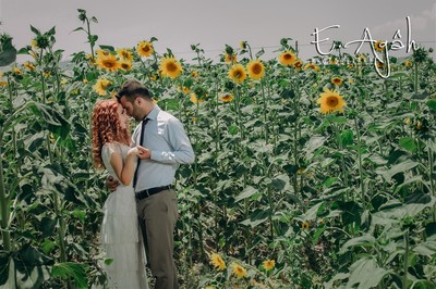 Agah Fotoğrafçılık