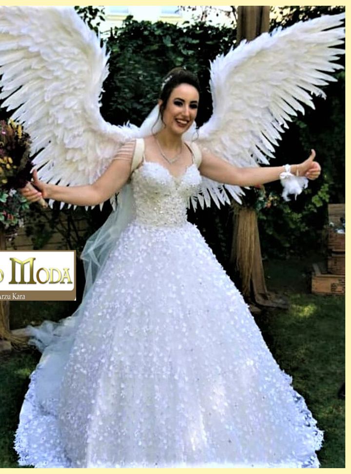 Cigno