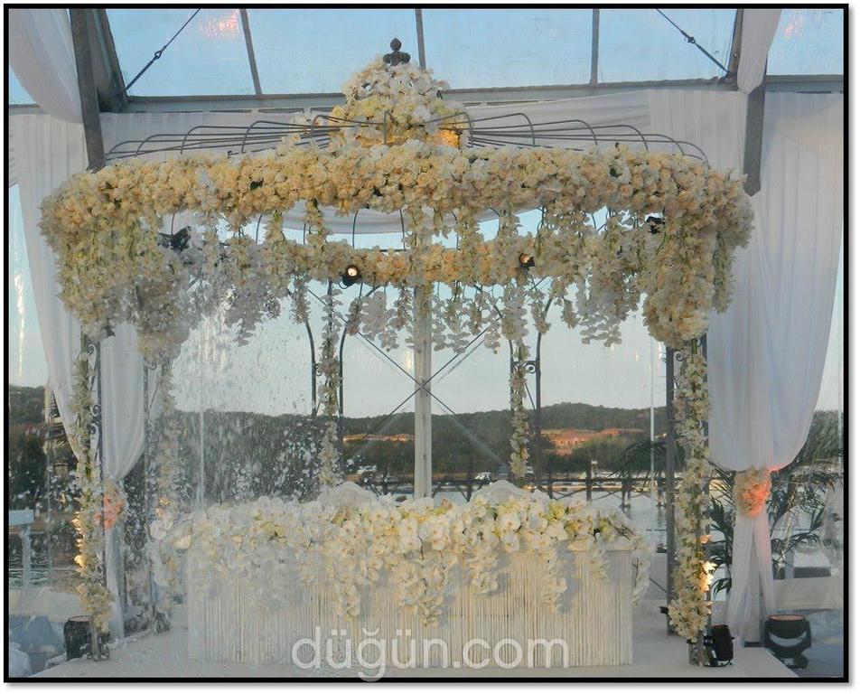 Arelia Flowers & Events