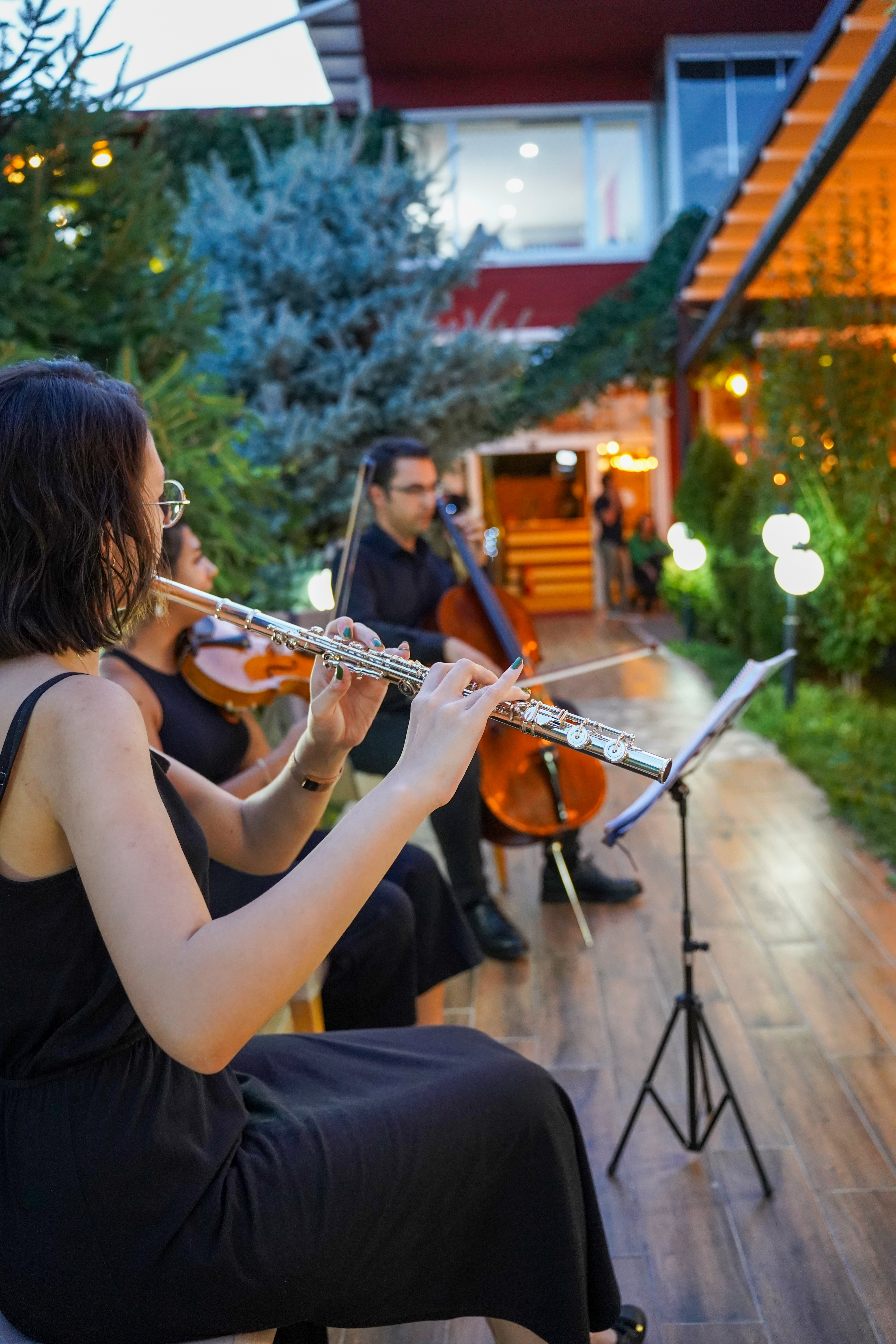 Hayalinn Kır Bahçesi