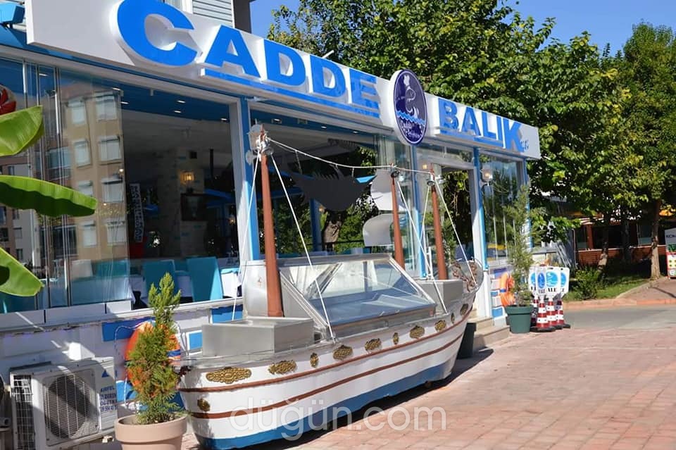 Cadde Balıkçısı Konyaaltı