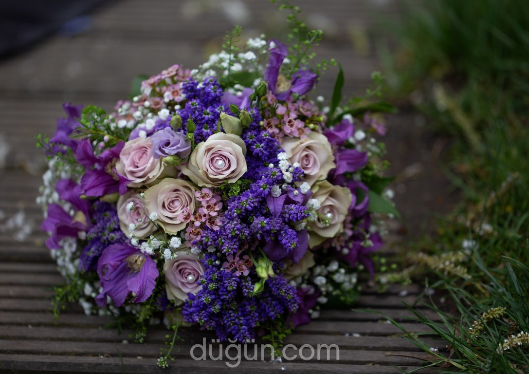 Fotoğrafçı Dream Art