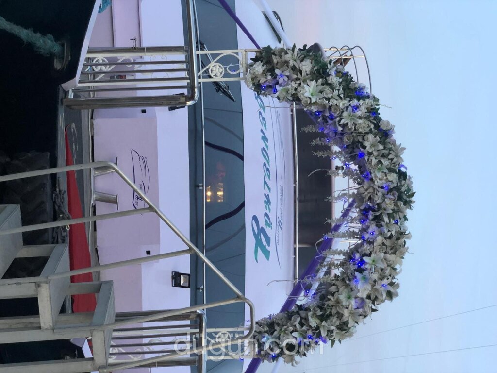 Teknede VIP Organizasyon