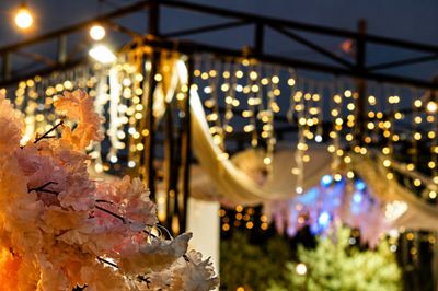 Feride Wedding & Event image