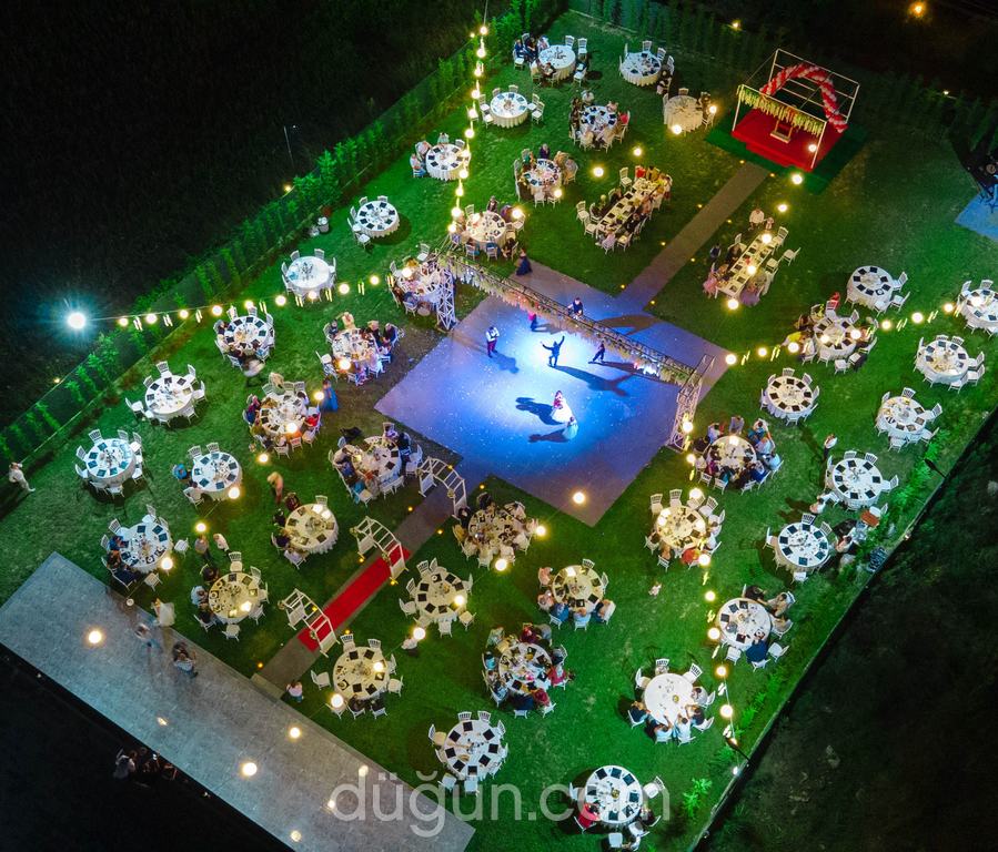 Lila Garden