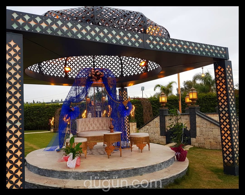 Hanedan Organizasyon