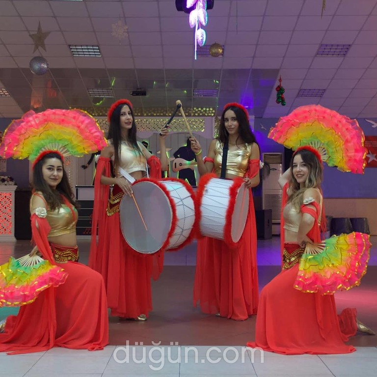 Hanedan Organizasyon