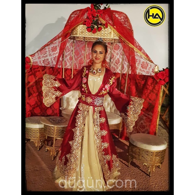 Hanedan Organizasyon