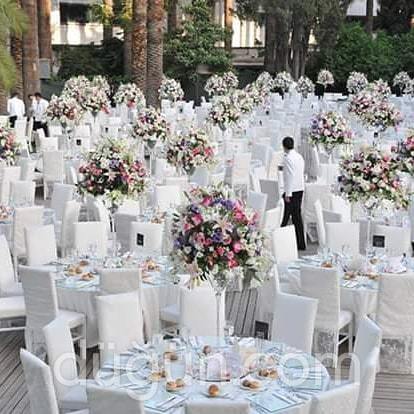 Yeşil Beyaz Organizasyon