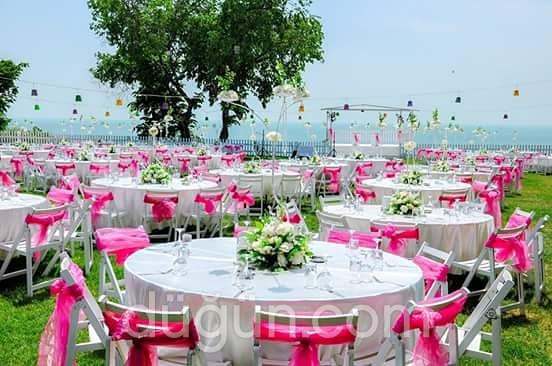 Yeşil Beyaz Organizasyon