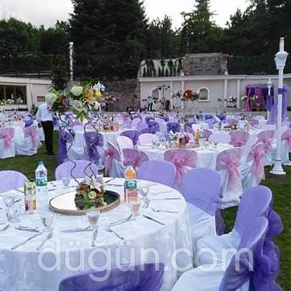 Yeşil Beyaz Organizasyon