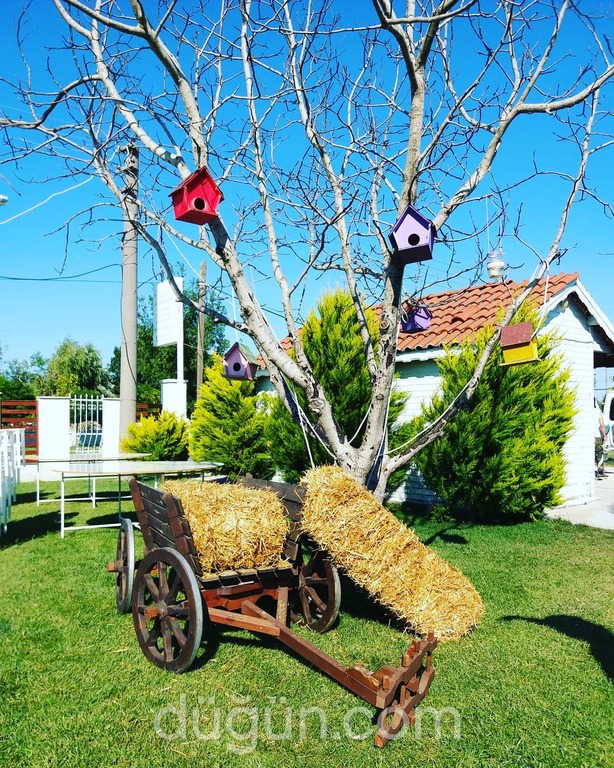 Denizkuşu Kır Düğünü
