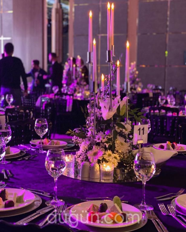 Diyarbakır Organizasyon